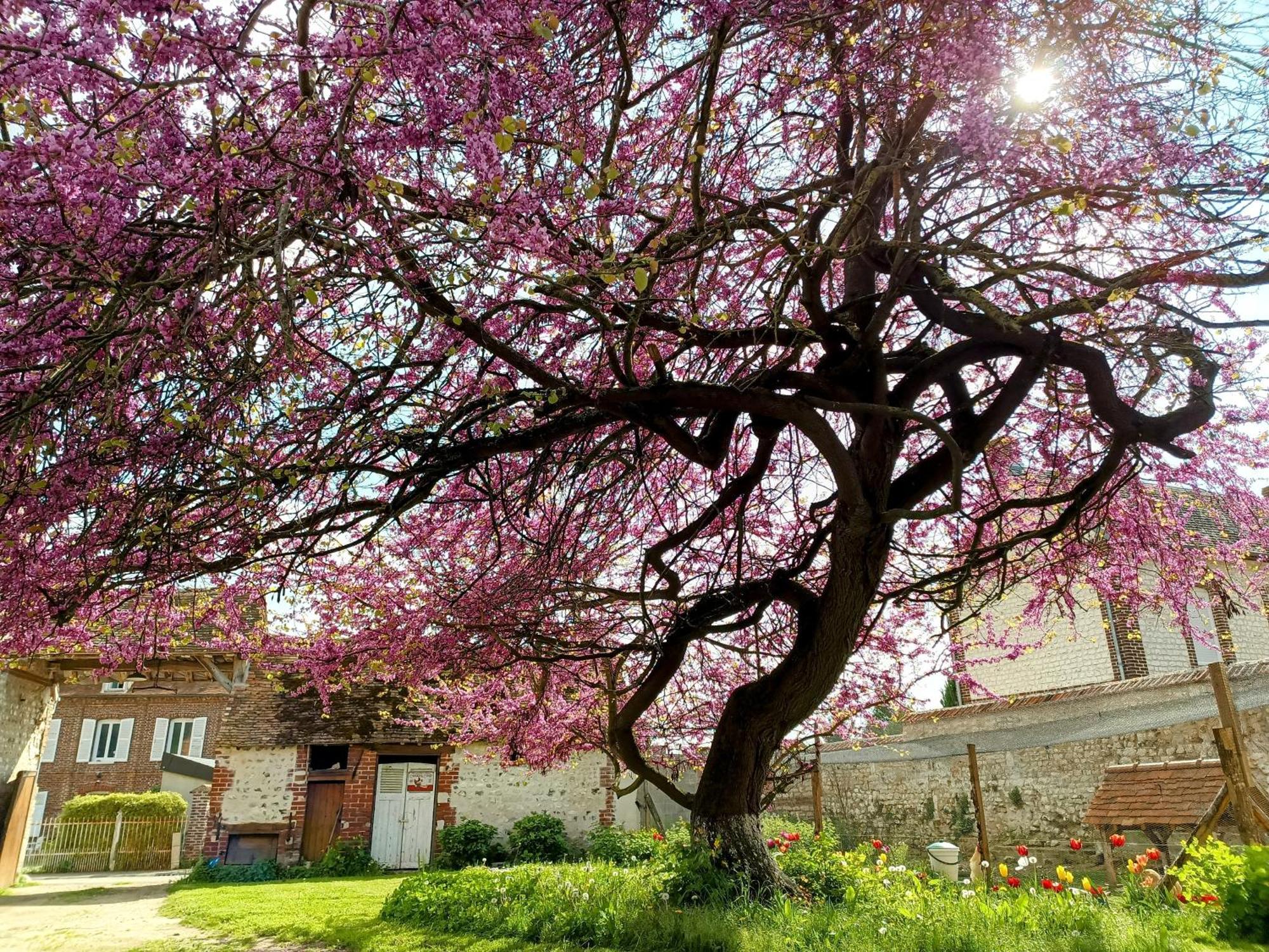 Villa Les Jardins De Felicie Poses Exterior foto